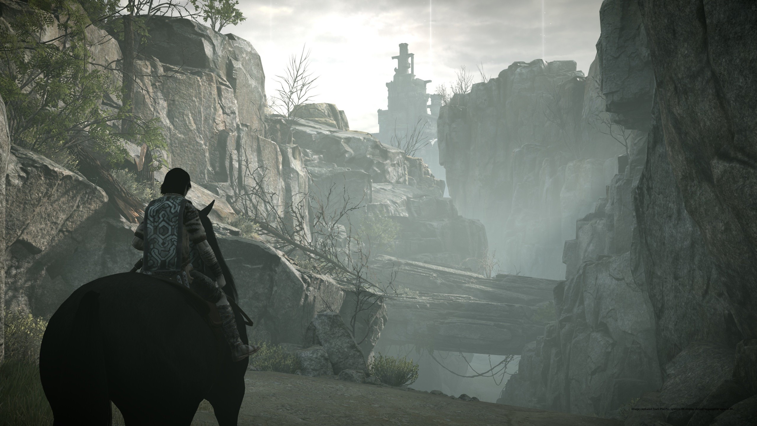 Shadow of the Colossus Remaster - Imagen 16